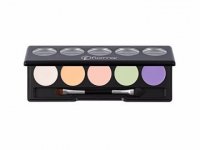 CAMOUFLAGE PALETTE CONCEALER